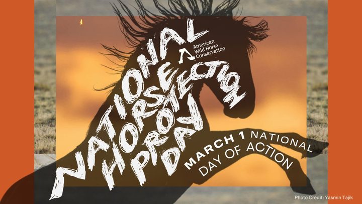 National Horse Protection Day — horse-shaped typography