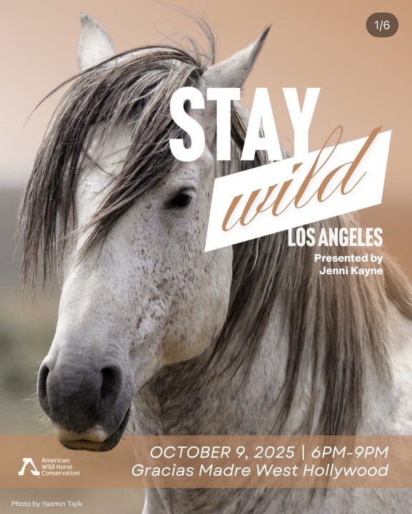 Stay Wild LA event program