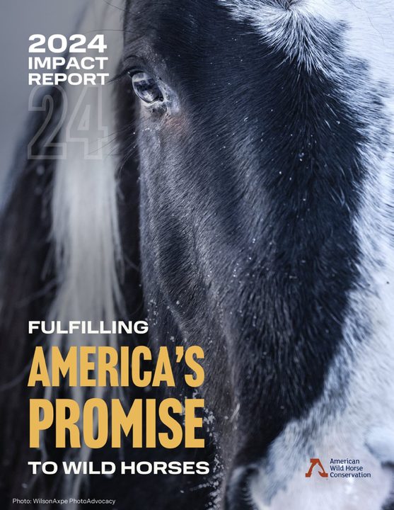 2024 Impact Report cover — Fulfilling America's Promise to Wild Horses