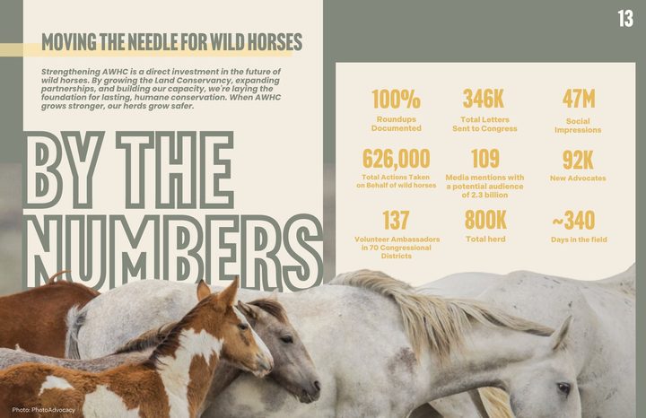 By the Numbers — AWHC impact report data spread